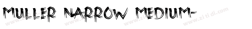 muller narrow medium字体转换